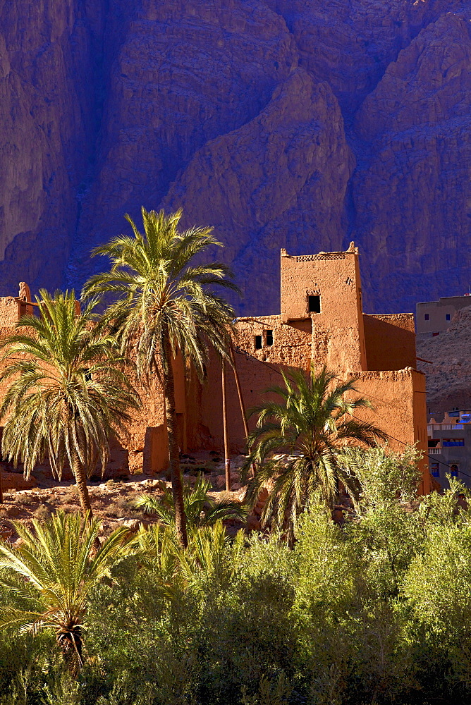 Road to Todra Gorge with oasis, Tinghir, Morocco, North Africa, Africa