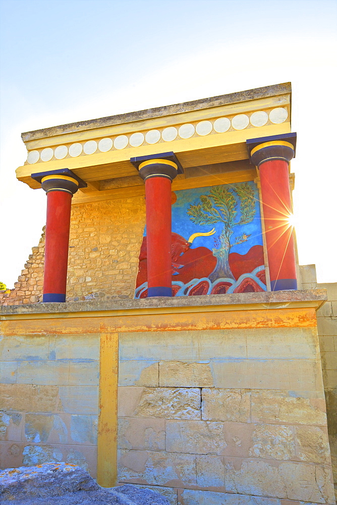 Bull And Olive Tree Fresco, The Minoan Palace of Knossos, Knossos, Heraklion, Crete, Greek Islands, Greece, Europe