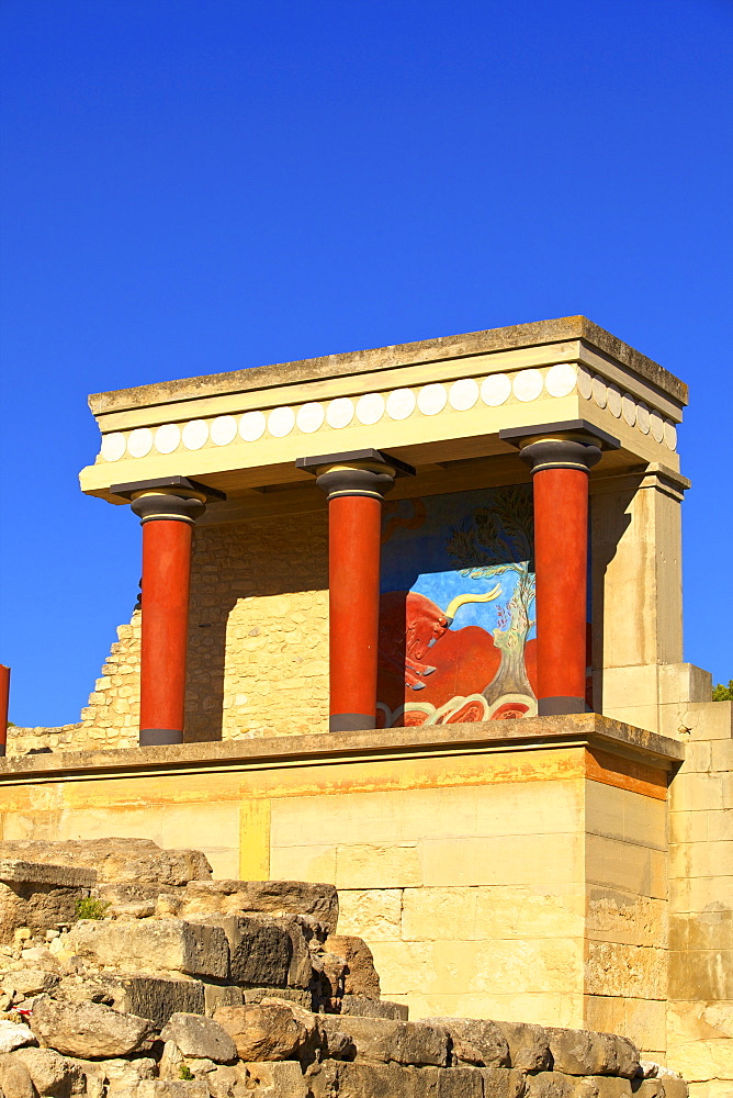 Charging Bull and Olive Tree Fresco, The Minoan Palace of Knossos, Knossos, Heraklion, Crete, Greek Islands, Greece, Europe