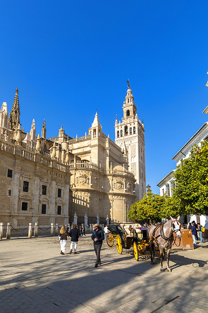 Seville Cathedral Exterior, UNESCO World Heritage Site, Seville, Andalusia, Spain, Europe