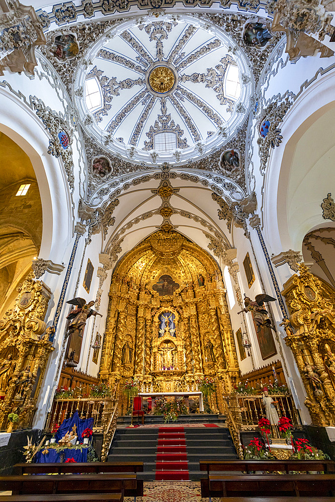 Interior of Iglesia San Francisco, Cordoba, Andalusia, Spain, Europe