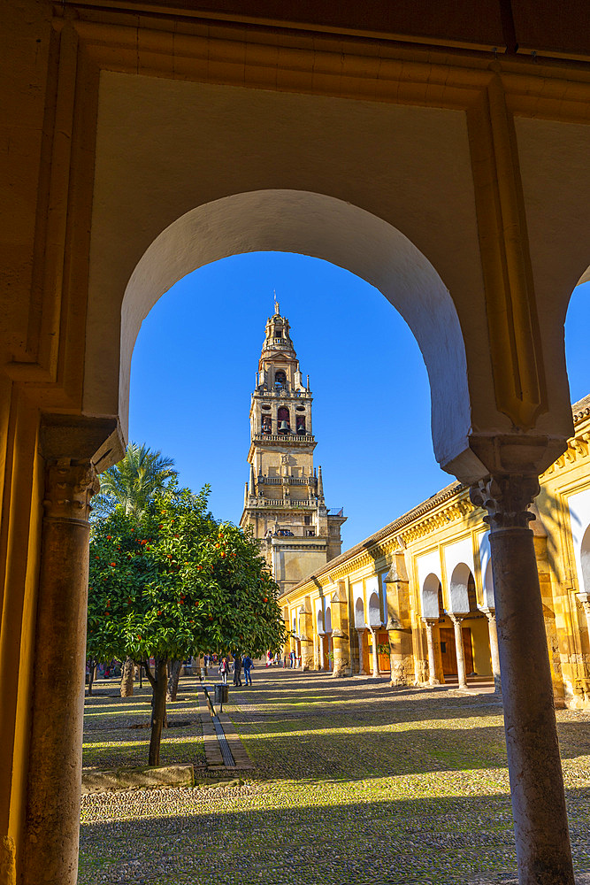 The Mosque (Mezquita) and Cathedral of Cordoba and Surrounding Gallery, UNESCO World Heritage Site, Cordoba, Andalusia, Spain, Europe