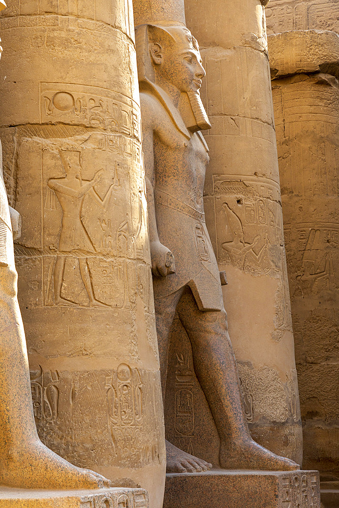 Statue of Ramesses ll, Luxor Temple, Luxor, Thebes, UNESCO World Heritage Site, Egypt, North Africa, Africa