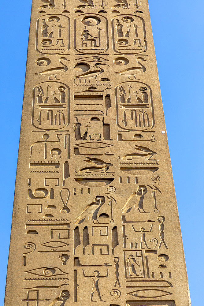 The Obelisk at Luxor Temple, Luxor, Thebes, UNESCO World Heritage Site, Egypt, North Africa, Africa