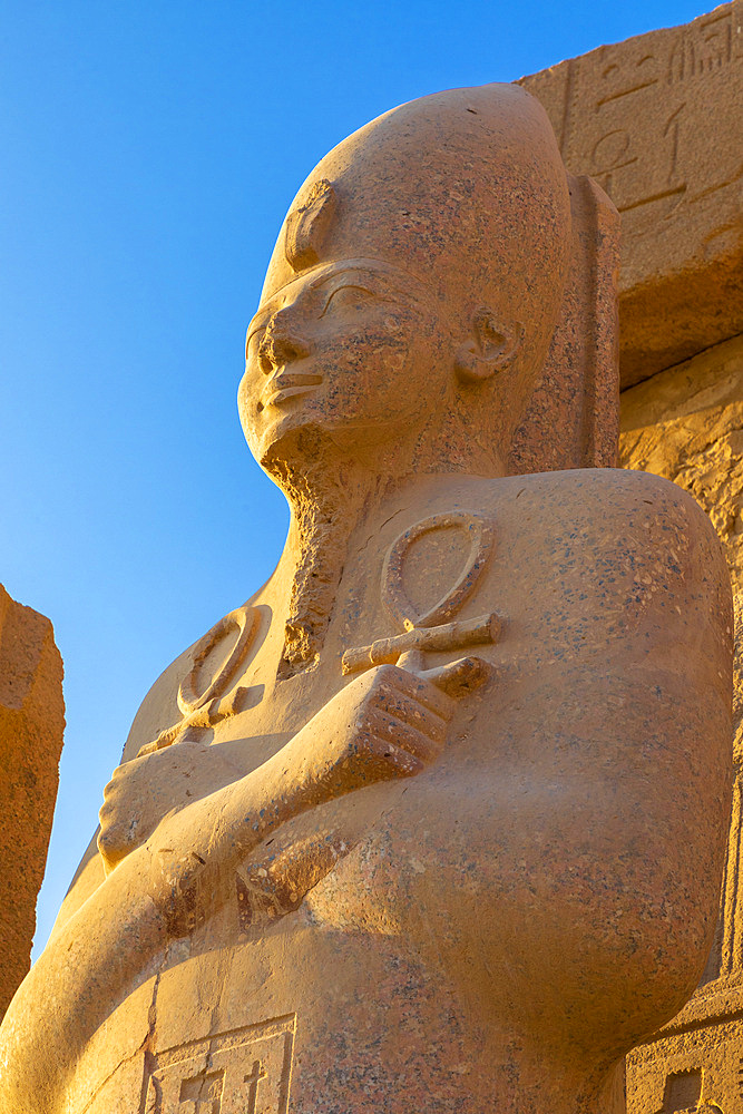 Statue at Karnak Temple, Luxor, Thebes, UNESCO World Heritage Site, Egypt, North Africa, Africa