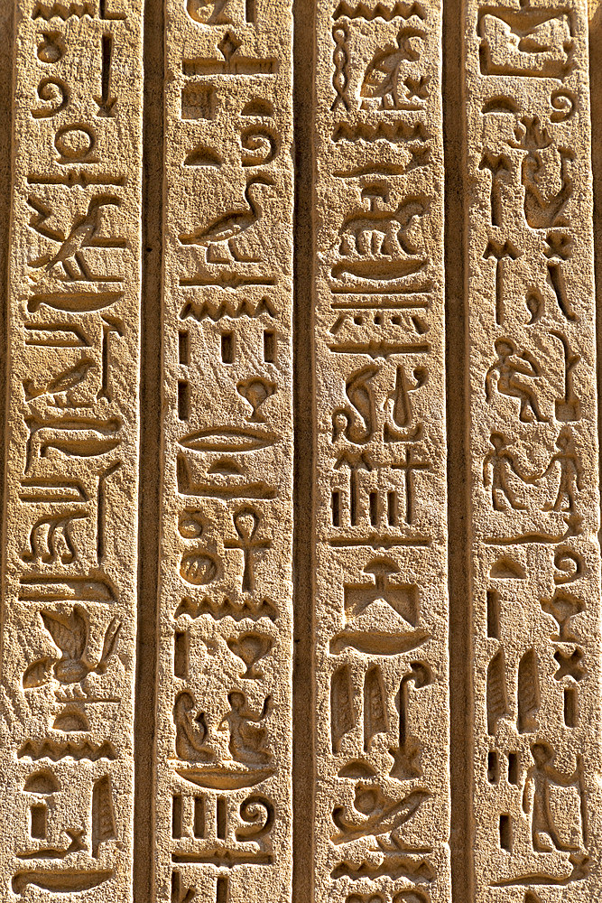 Stone Carvings and Hieroglyphs at Karnak Temple, Luxor, Thebes, UNESCO World Heritage Site, Egypt, North Africa, Africa