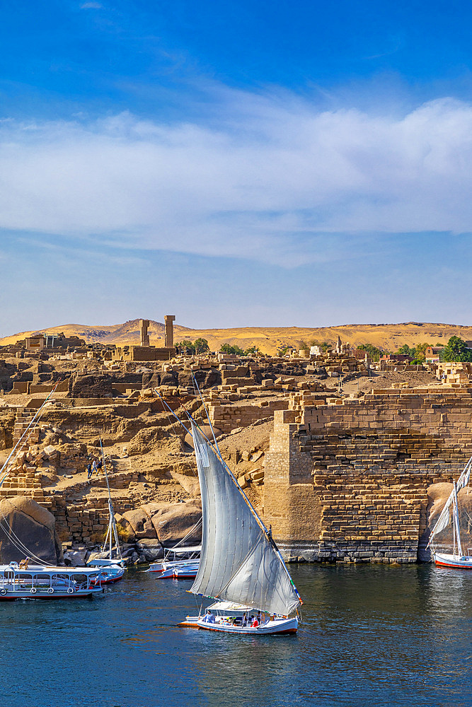 Feluccas on the River Nile, Aswan, Egypt, North Africa, Africa