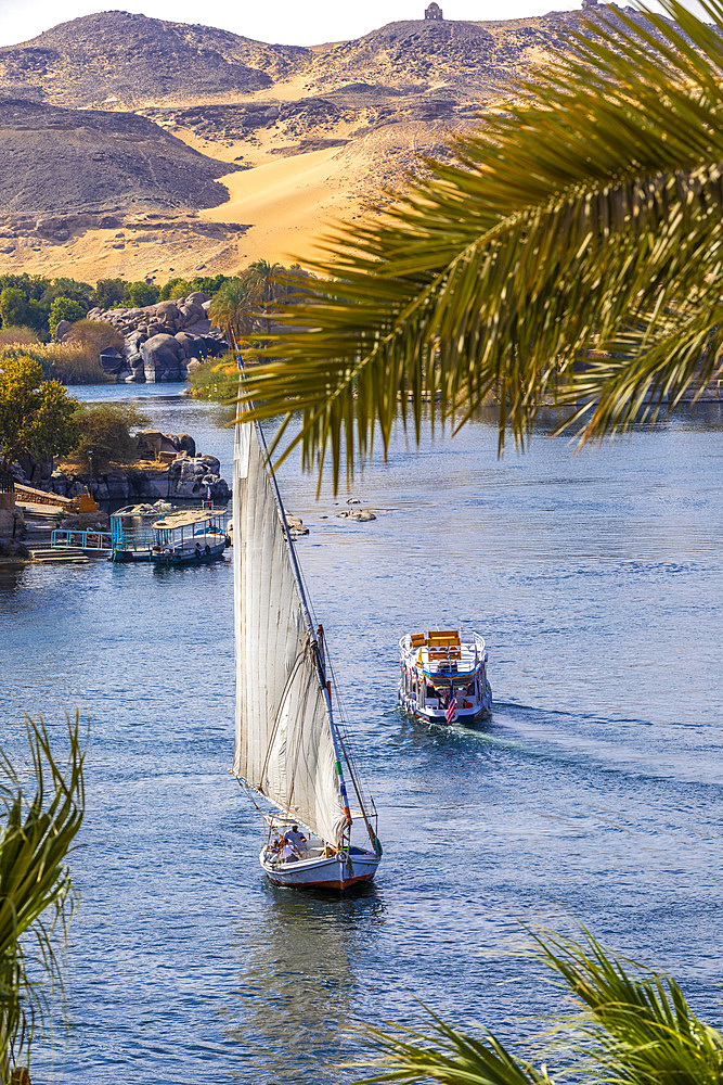 Feluccas on the River Nile, Aswan, Egypt, North Africa, Africa