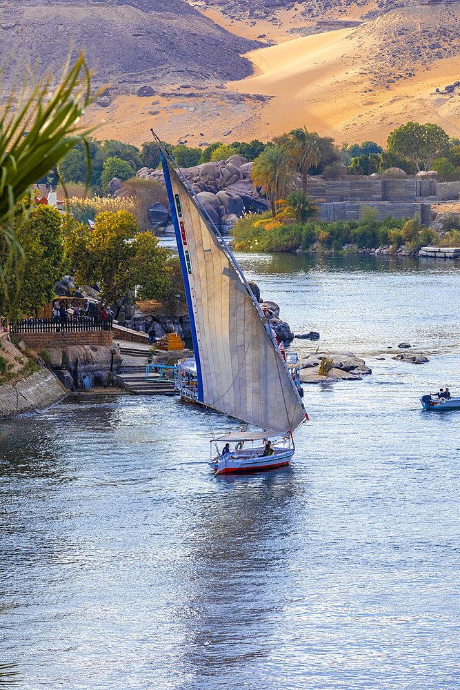 Feluccas on The River Nile, Aswan, Egypt, North Africa, Africa