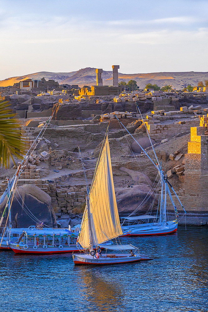 Feluccas on The River Nile, Aswan, Egypt, North Africa, Africa