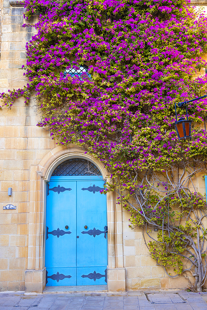 Doorway with Bougainvillea, Mdina, Malta, Southern Europe