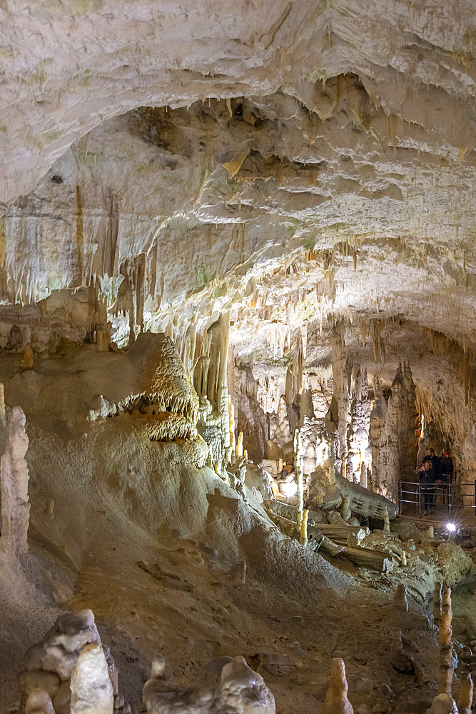 Postojna Caves, Postojna, Slovenia, Eastern Europe