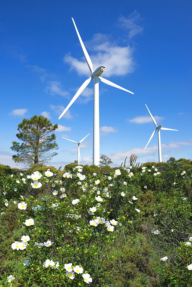 Wind turbines, Western Algarve, Portugal, Europe