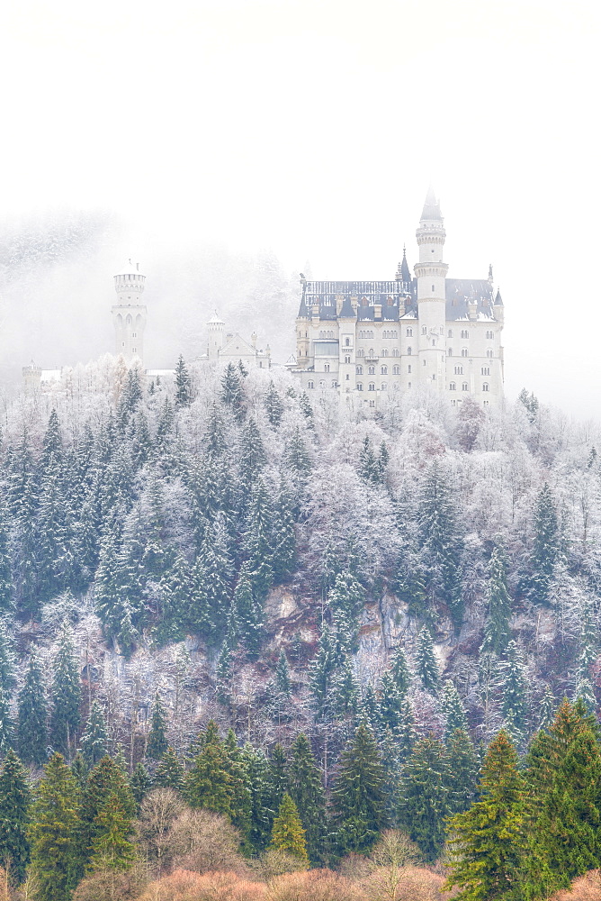 Neuschwanstein Castle in winter, Fussen, Bavaria, Germany, Europe