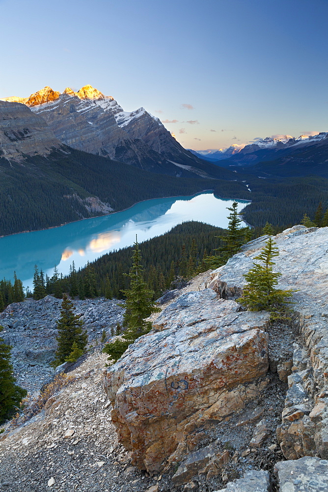 Peyto Lake at sunrise, Banff National Park, UNESCO World Heritage Site, Rocky Mountains, Alberta, Canada, North America