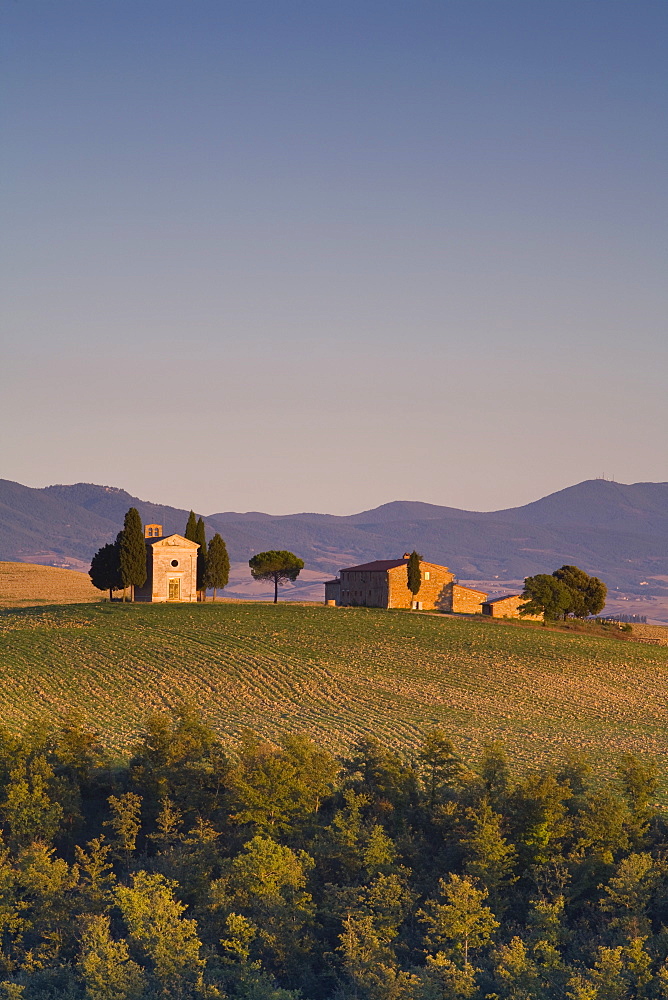 Iconic Tuscan Farmhouse, Val d' Orcia, UNESCO World Heritage Site, Tuscany, Italy, Europe