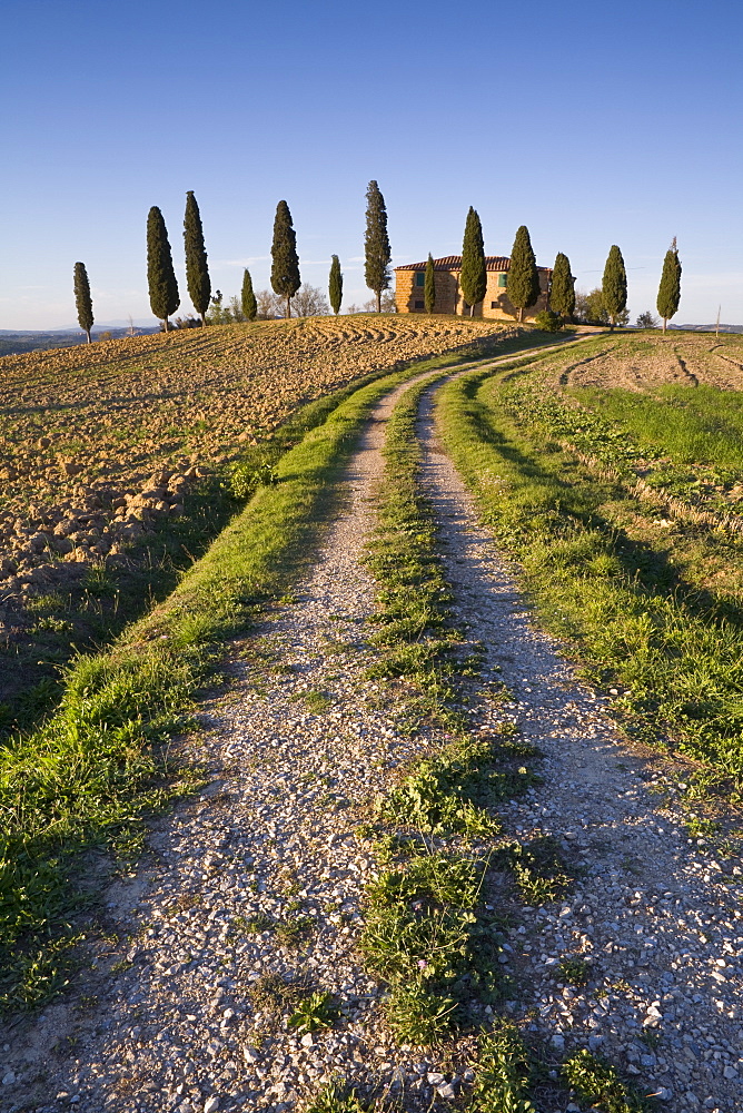 Iconic Tuscan Farmhouse, Val d' Orcia, UNESCO World Heritage Site, Tuscany, Italy, Europe