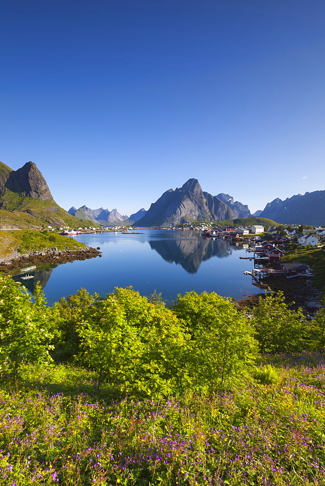 The picturesque fishing village of Reine, Moskenesoy, Lofoten, Nordland, Norway, Scandinavia, Europe