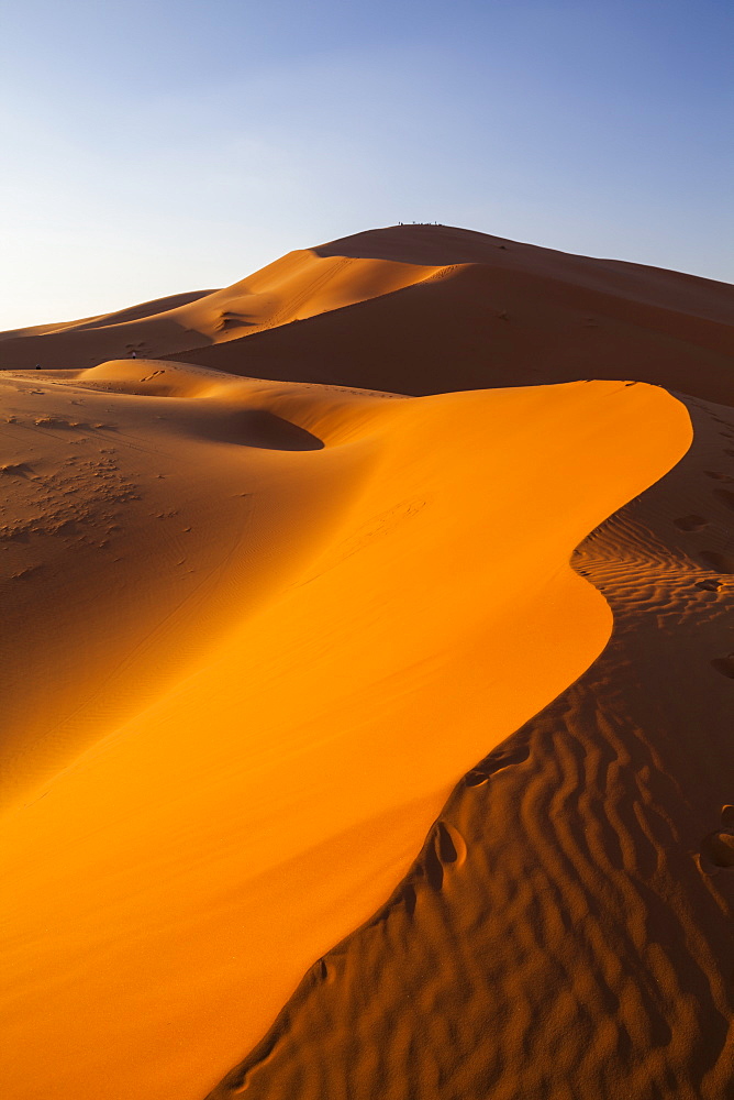 Sand dunes, Sahara Desert, Merzouga, Morocco, North Africa, Africa