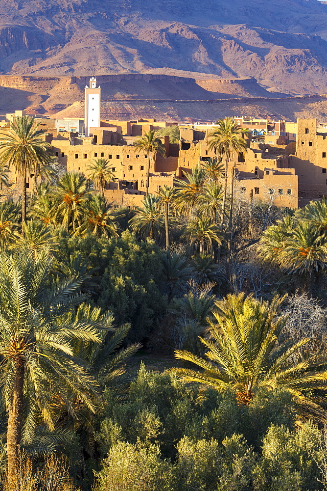 Tinerhir kasbahs and palmery, Tinghir, Todra Valley, Morocco, North Africa, Africa