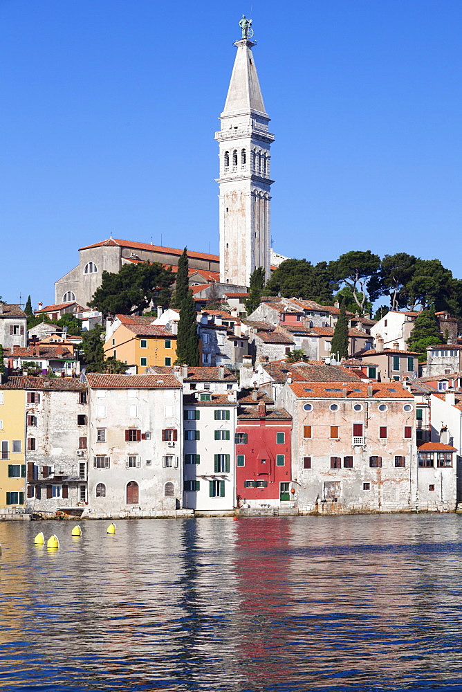 Old town and the cathedral of St. Euphemia, Rovinj, Istria, Croatia, Adriatic, Europe 