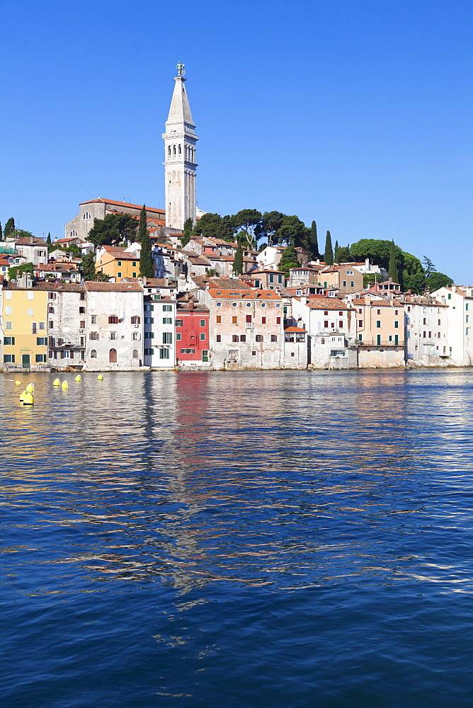 Old town and the cathedral of St. Euphemia, Rovinj, Istria, Croatia, Adriatic, Europe 