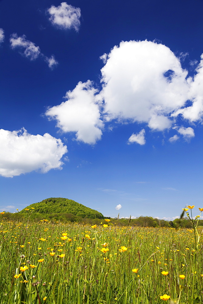 Rossberg mountain and meadow in spring, Swabian Alb, Baden Wurttemberg, Germany, Europe 