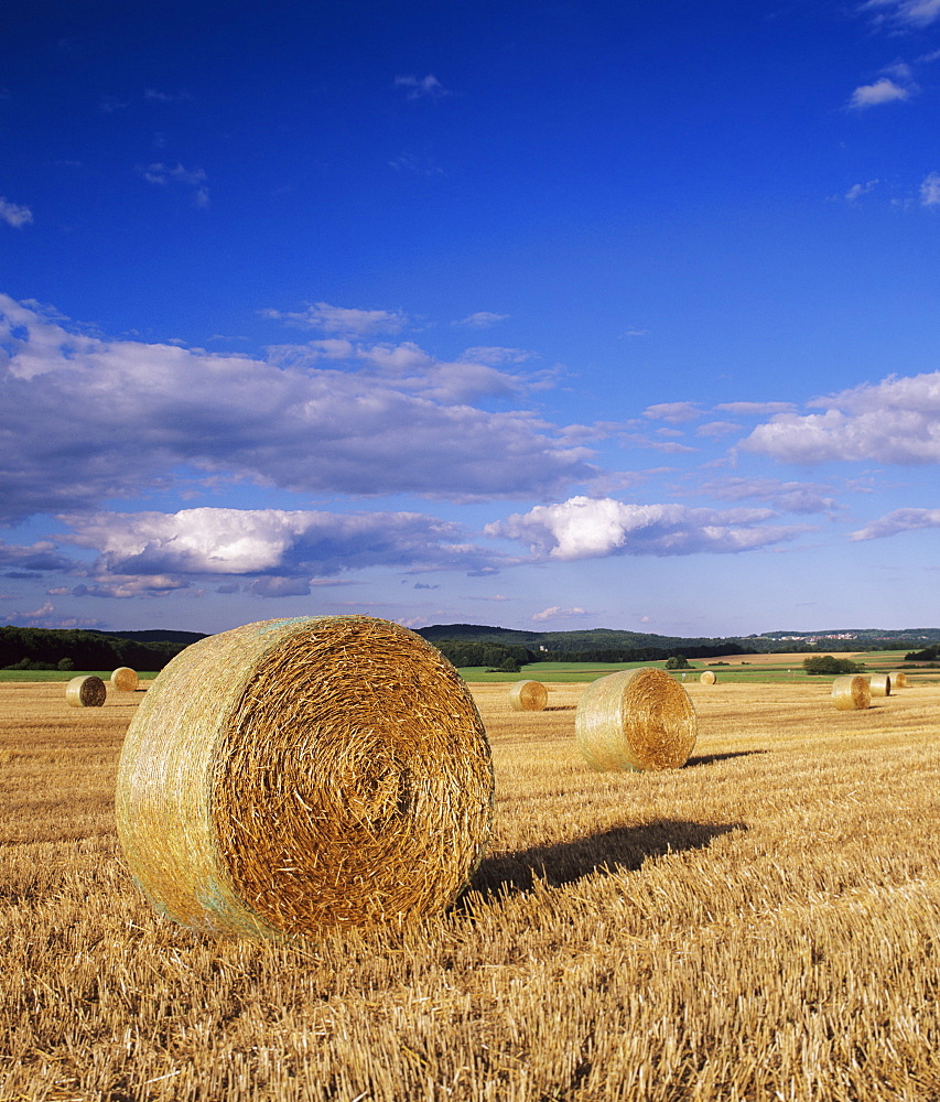 Straw bales, Swabian Alb, Baden Wurttemberg, Germany, Europe