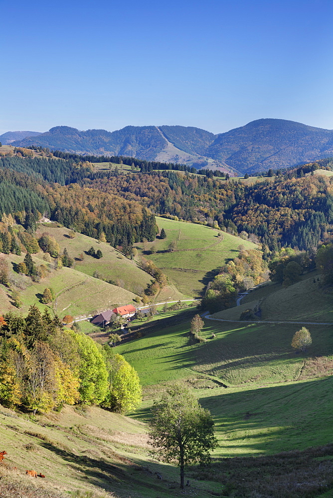 Wiesental Valley, Black Forest, Baden Wurttemberg, Germany, Europe