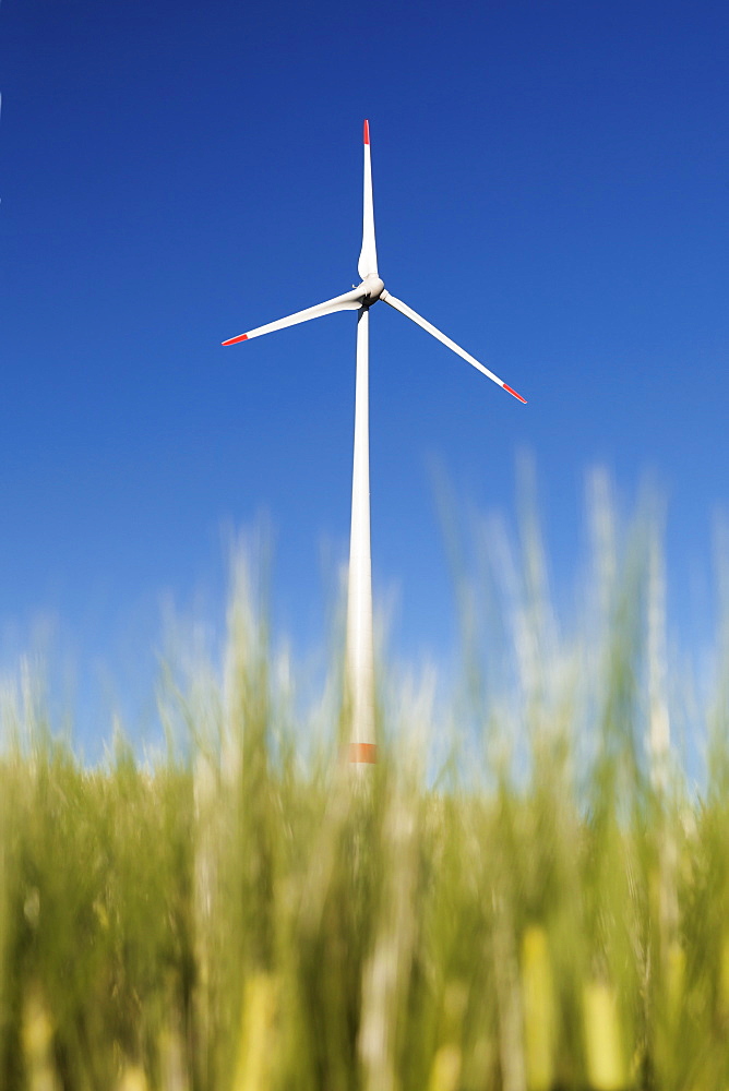 Wind turbine on a field in the evening light, Black Forest, Baden Wurttemberg, Germany, Europe