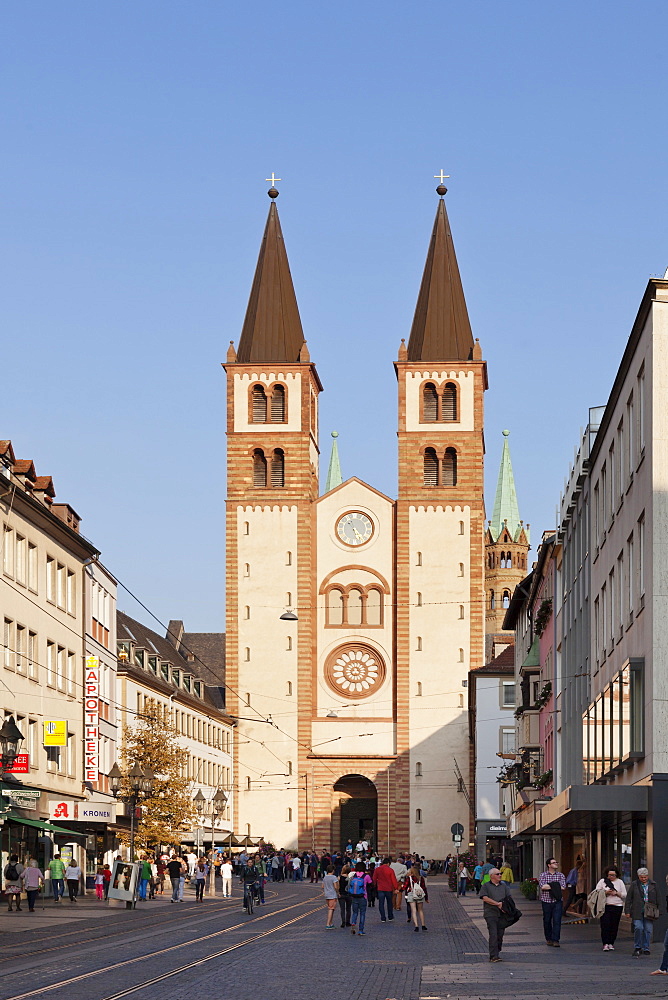 Cathedral of St. Kilian, Wurzburg, Franconia, Bavaria, Germany, Europe