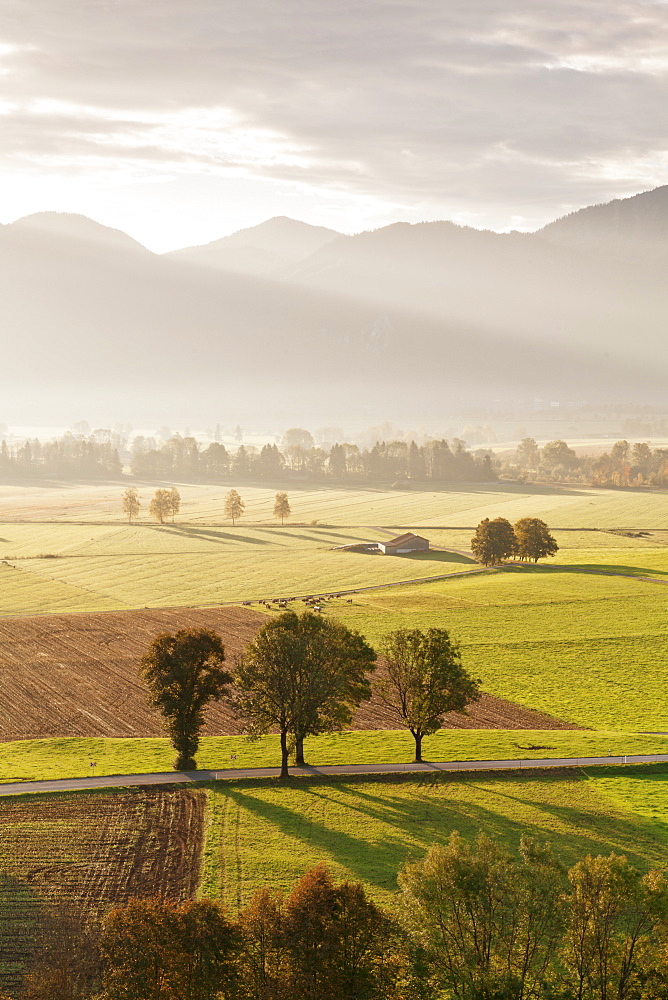 Kochelmoos Moor, Hay Huts, Bavarian Alps, Upper Bavaria, Bavaria, Germany, Europe