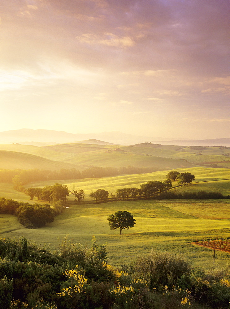 Sunrise at Val d'Orcia, near San Quirico, Val d'Orcia (Orcia Valley), UNESCO World Heritage Site, Siena Province, Tuscany, Italy, Europe