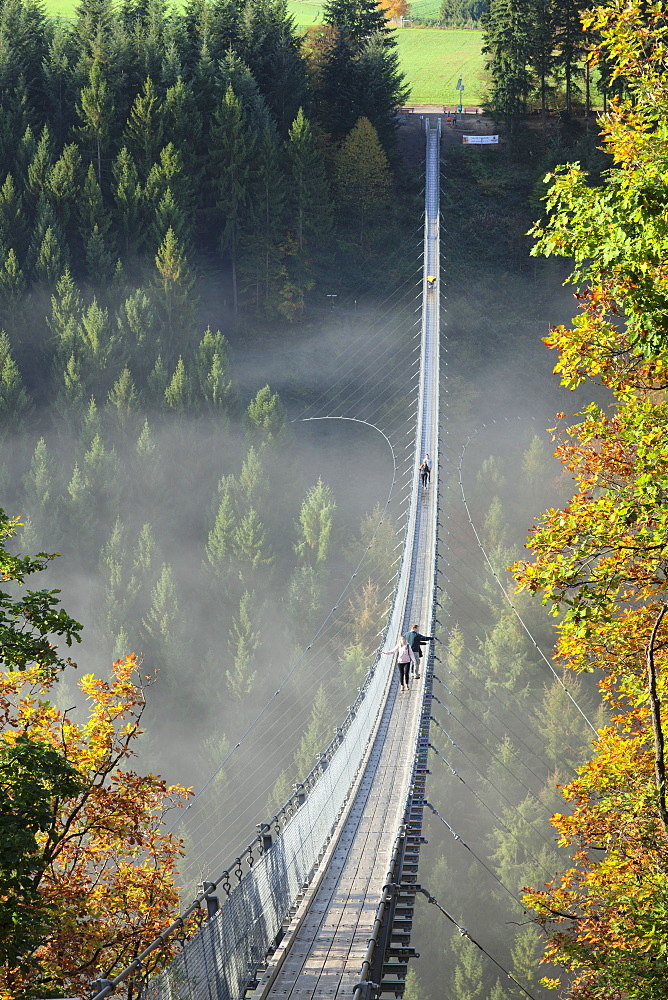 Swing Bridge Geierlay, Moersdorf, Hunsrueck, Rhineland-Palatinate, Germany, Europe