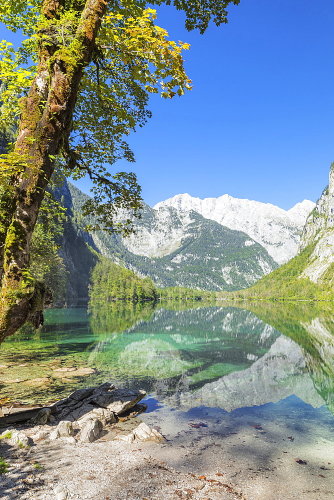 Watzmann Mountain reflecting in Lake Obersee, near lake Koenigssee, Berchtesgadener Land, Berchtesgaden National Park, Upper Bavaria, Bavaria, German, Europe