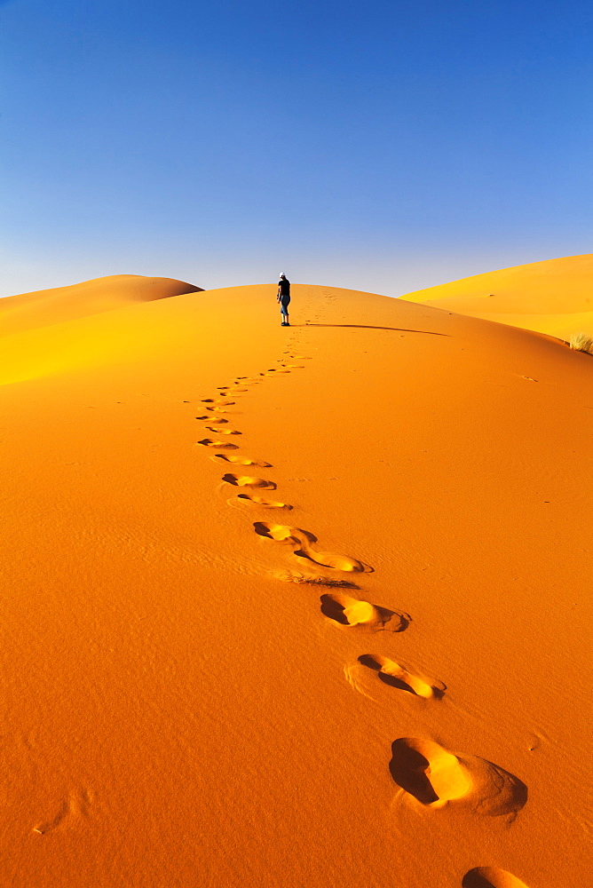 Sand Dunes, Erg Chebbi, Sahara Desert, Southern Morocco, Morocco, Africa