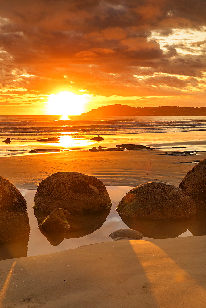 Moeraki Boulders at sunrise, Otago, South Island, New Zealand, Pacific