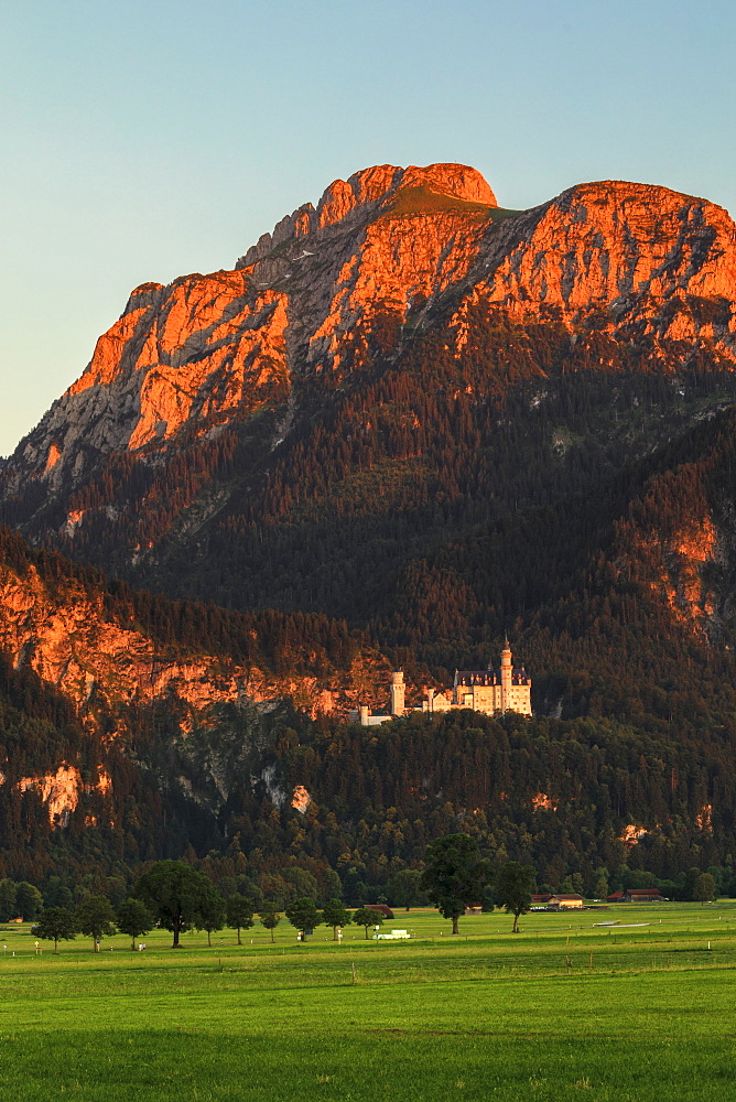 Neuschwanstein Castle at sunset, Schwangau, Allgau, Schwaben, Bavaria, Germany, Europe