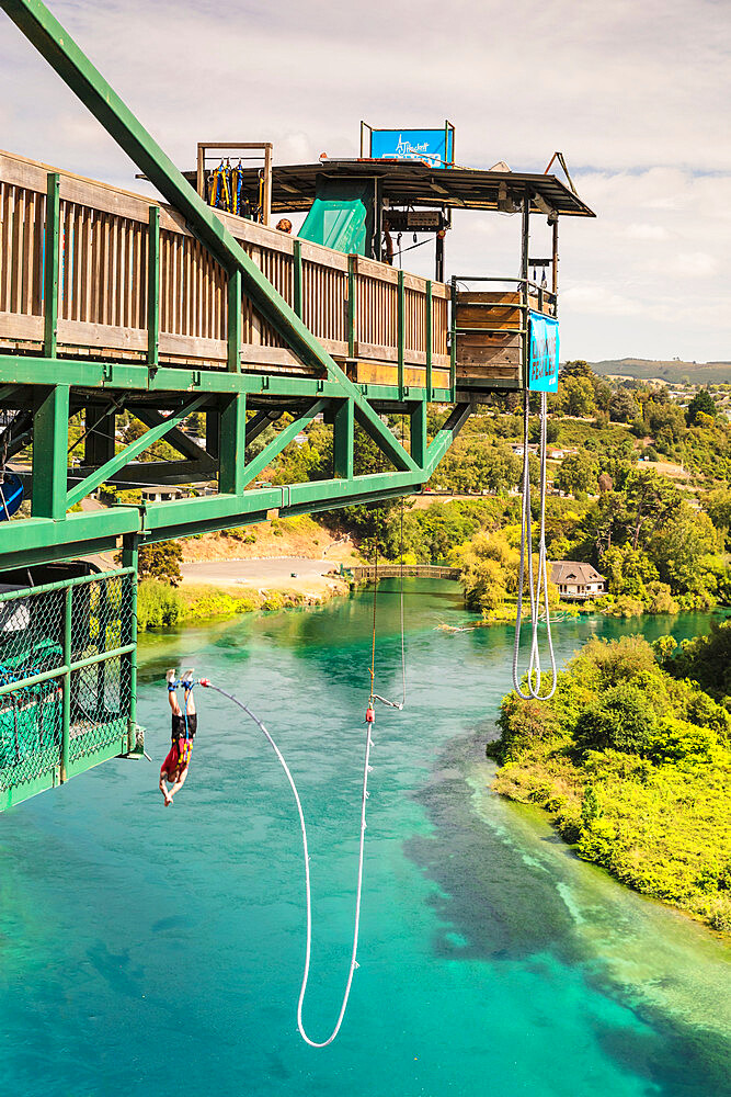 Bungee Jumping, Waikato River, Taupo, Waikato, North Island, New Zealand, Pacific