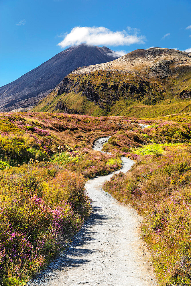 Mount Ngauruhoe, Tongariro Alpine Crossing, Tongariro National Park, UNESCO World Heritage Site, North Island, New Zealand, Pacific