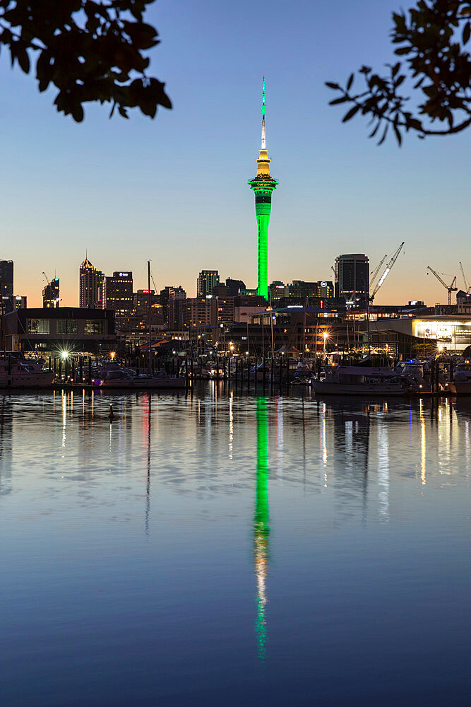 Sky Tower and Skyline at Westhaven Marina, Auckland, North Island, New Zealand, Pacific