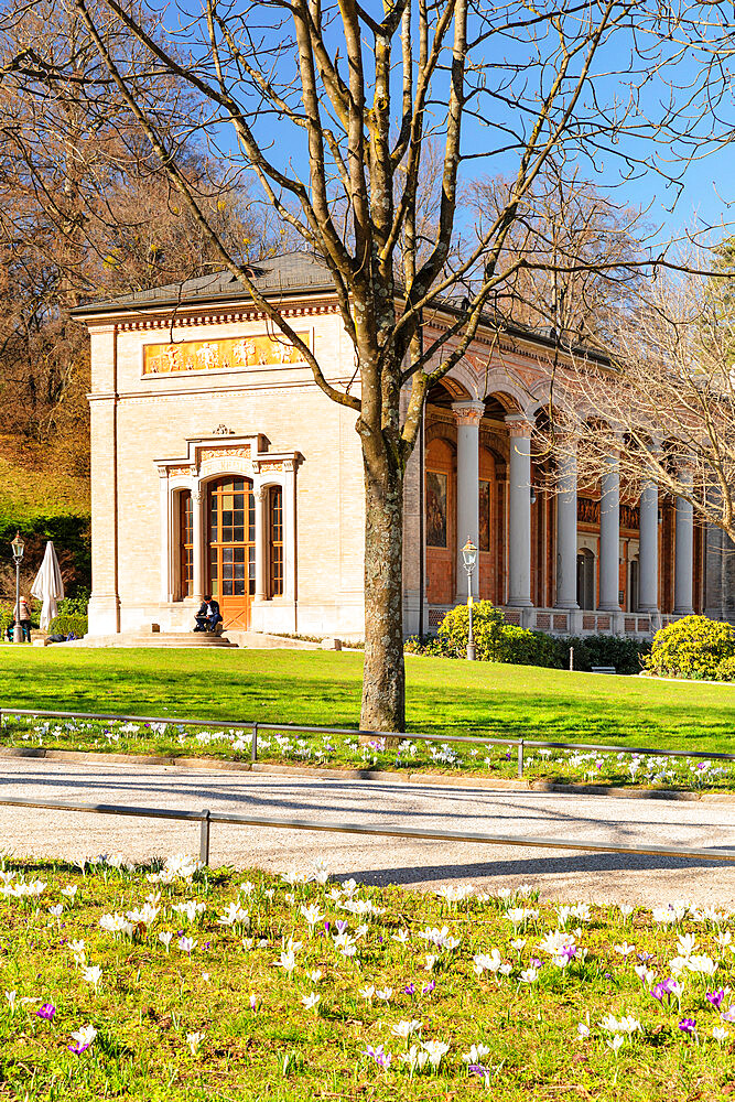 Crocus flowers in front of the pump room in Baden-Baden, Black Forest, Baden-Wurttemberg, Germany, Europe