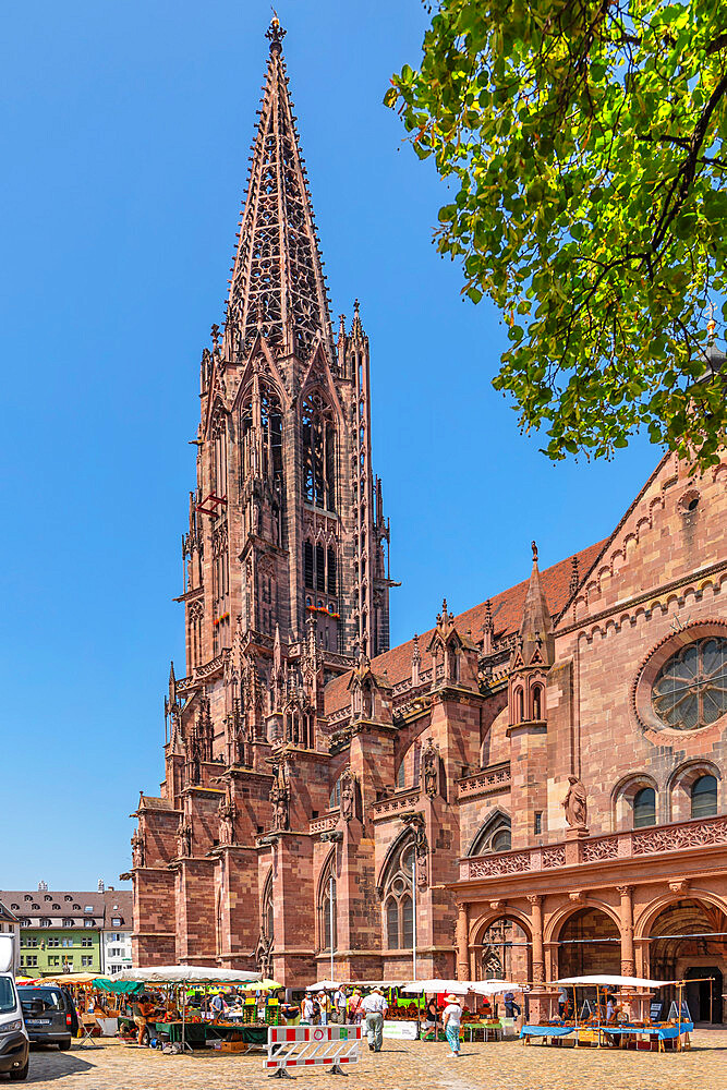 Market on Munsterplatz Square, Cathedral, Freiburg, Black Forest, Baden-Wurttemberg, Germany, Europe