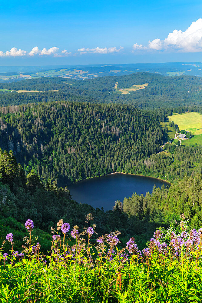 View from Seebuck peak at Feldberg Mountain on Feldsee Lake, Black Forest, Baden-Wurttemberg, Germany, Europe