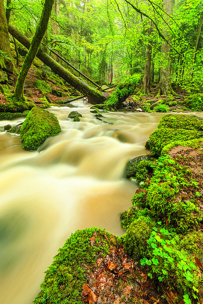 Waterfall at Monbachtal Valley, Black Forest, Baden-Wurttemberg, Germany, Europe