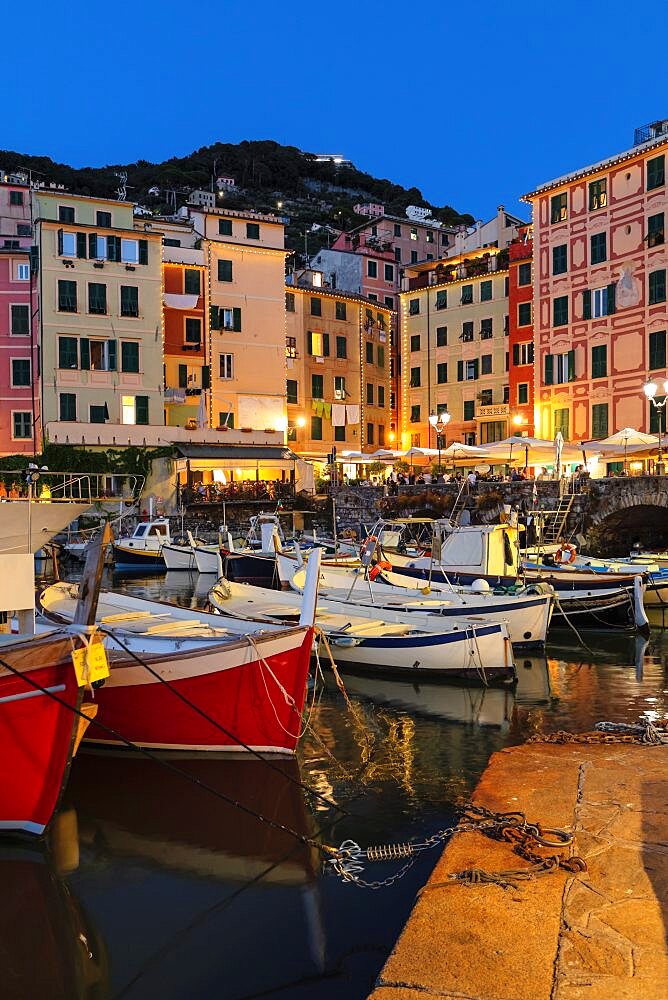 The old port, Camogli, Rivera di Levante, Genova District, Liguria, Italy