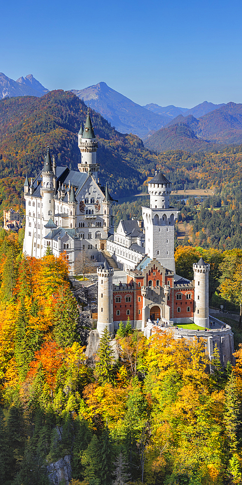 Neuschwanstein Castle, Schwangau, Allgau, Swabia, Bavaria, Germany, Europe