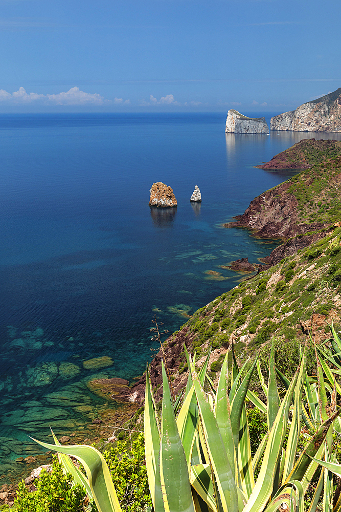 Costa Verde with Pan de Zucchero and Agusteri rock, Nebida, Sud Sardegna district, Sardinia, Italy, Mediterranean, Europe