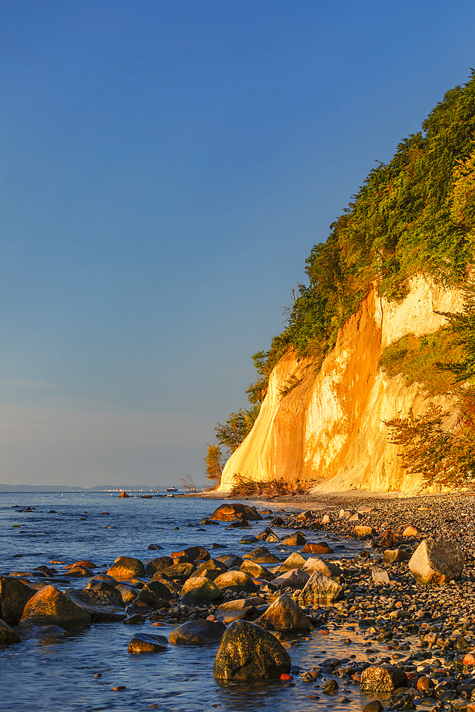 Chalk cliffs, Jasmund National Park, Sassnitz, Rügen Island, Mecklenburg-Western Pomerania, Germany