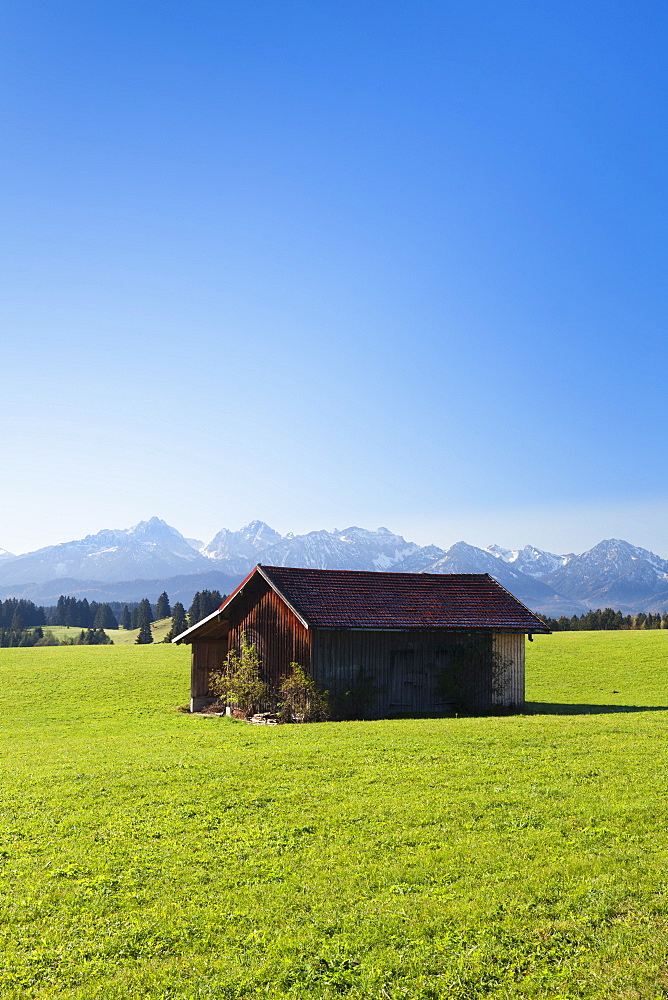 Cottage in Prealps landscape, Fussen, Ostallgau, Allgau, Allgau Alps, Bavaria, Germany, Europe